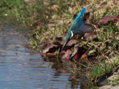 飛び込みシーケンス 31-1（父親）