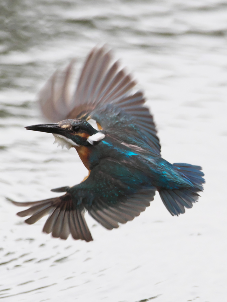 華麗なるターン 9