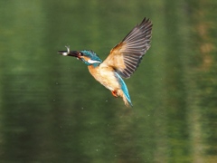 浮上 1280 浮上 1280