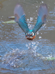 浮上 292（父親）