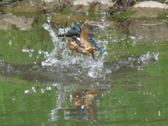 水浴び 4-1（父親）