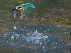 浮上 442-4（父親）