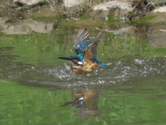 水浴び 4-3（父親）