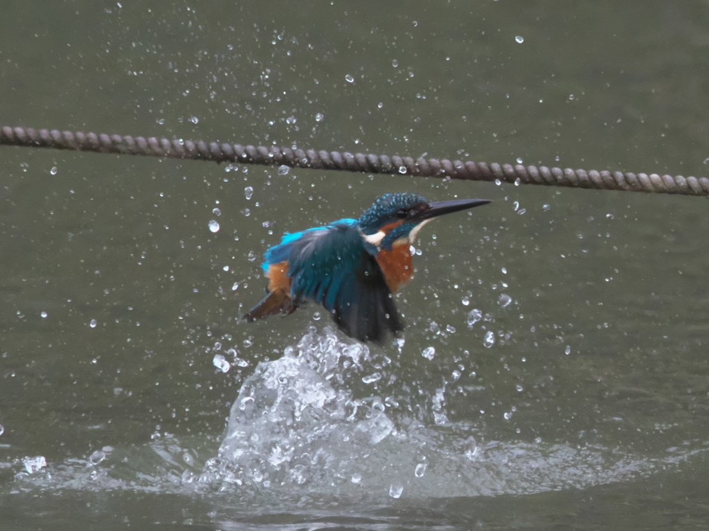 水浴び 6-1（父親）