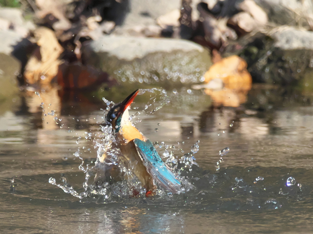 浮上 266（嫁候補）
