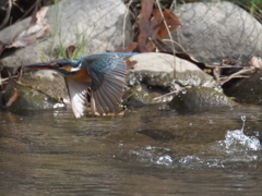 浮上 248（嫁候補）