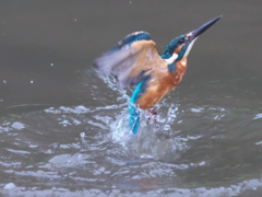 浮上 77-3（父親）