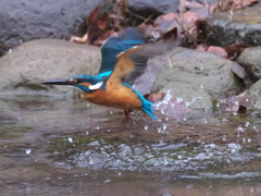 浮上 353（父親）