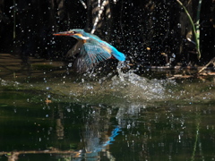 浮上 453-1（嫁候補）