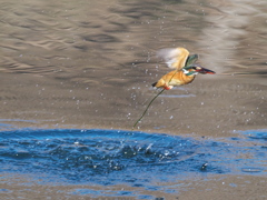 浮上 409（嫁候補）