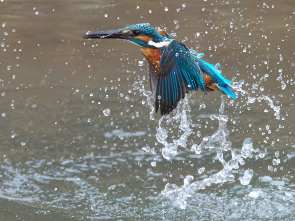 浮上 347-2（父親）