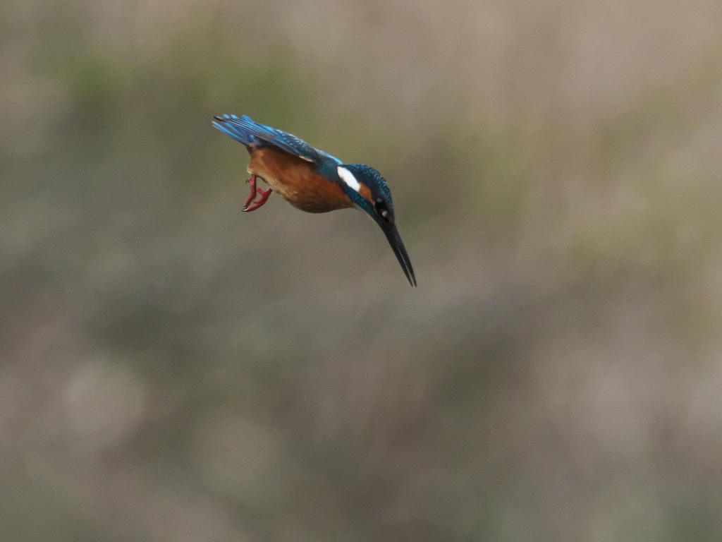 ロックオン 16-1