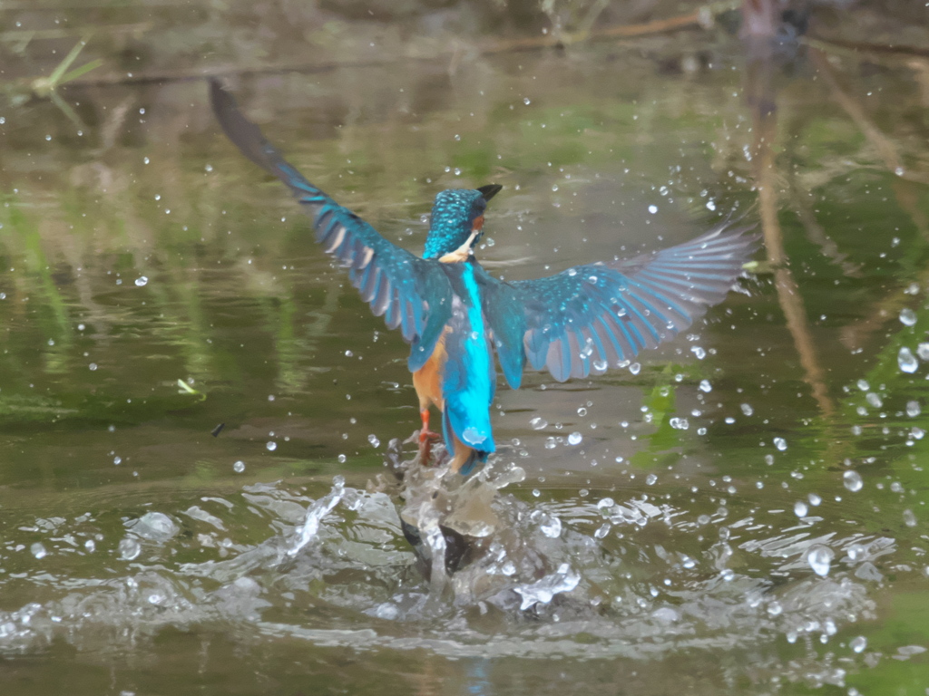 浮上 104-1（父親）