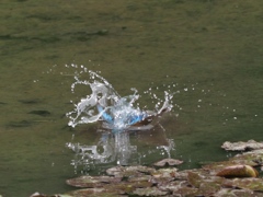 飛び込みシーケンス 1-3