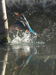 浮上 314-2（嫁候補）