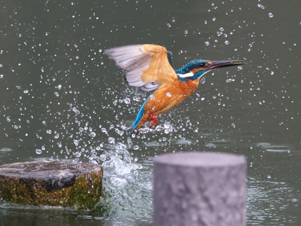 浮上 402-2（父親）