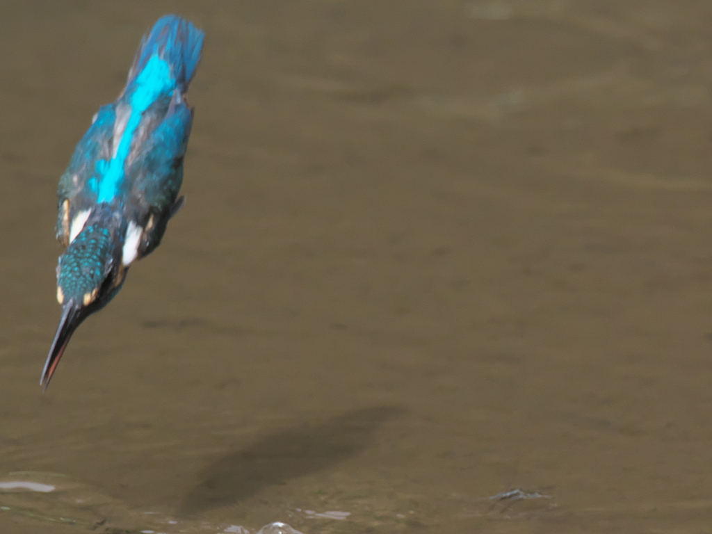 飛び込みシーケンス 8-1（父親）