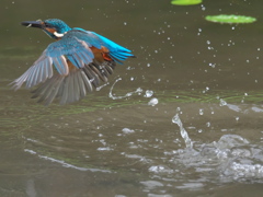 浮上 85（父親）