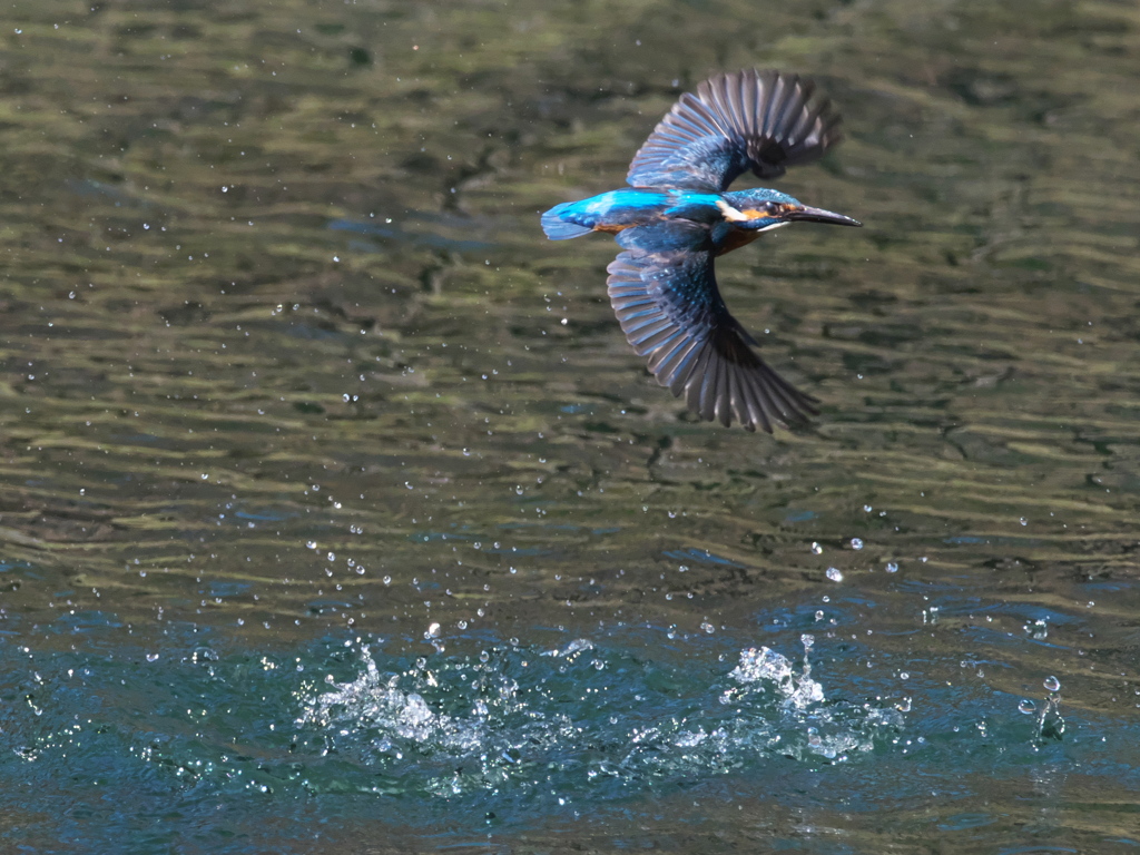 浮上 425-1（父親）