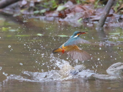 浮上 212（嫁候補）