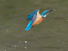 浮上 102（父親）