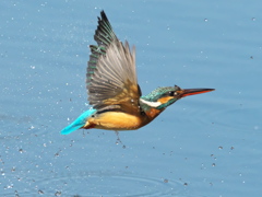 浮上 373-2（嫁候補）