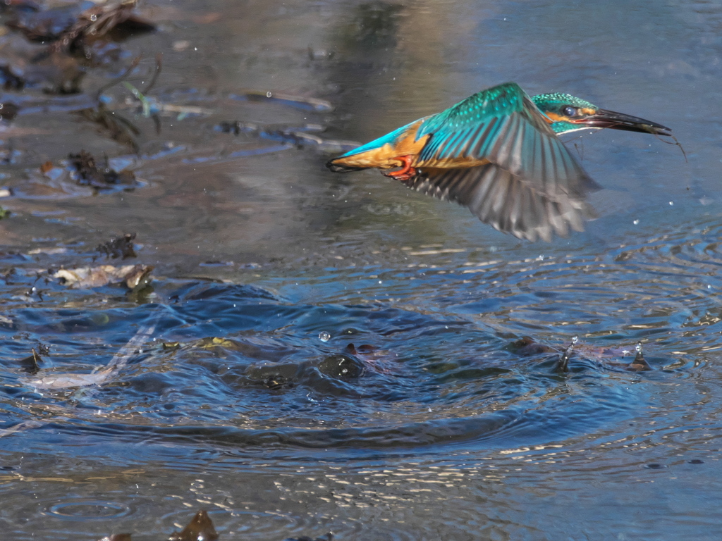 浮上 395（父親）