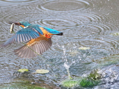 浮上 461-3（父親）