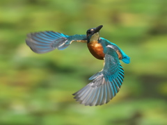 華麗なるターン 12