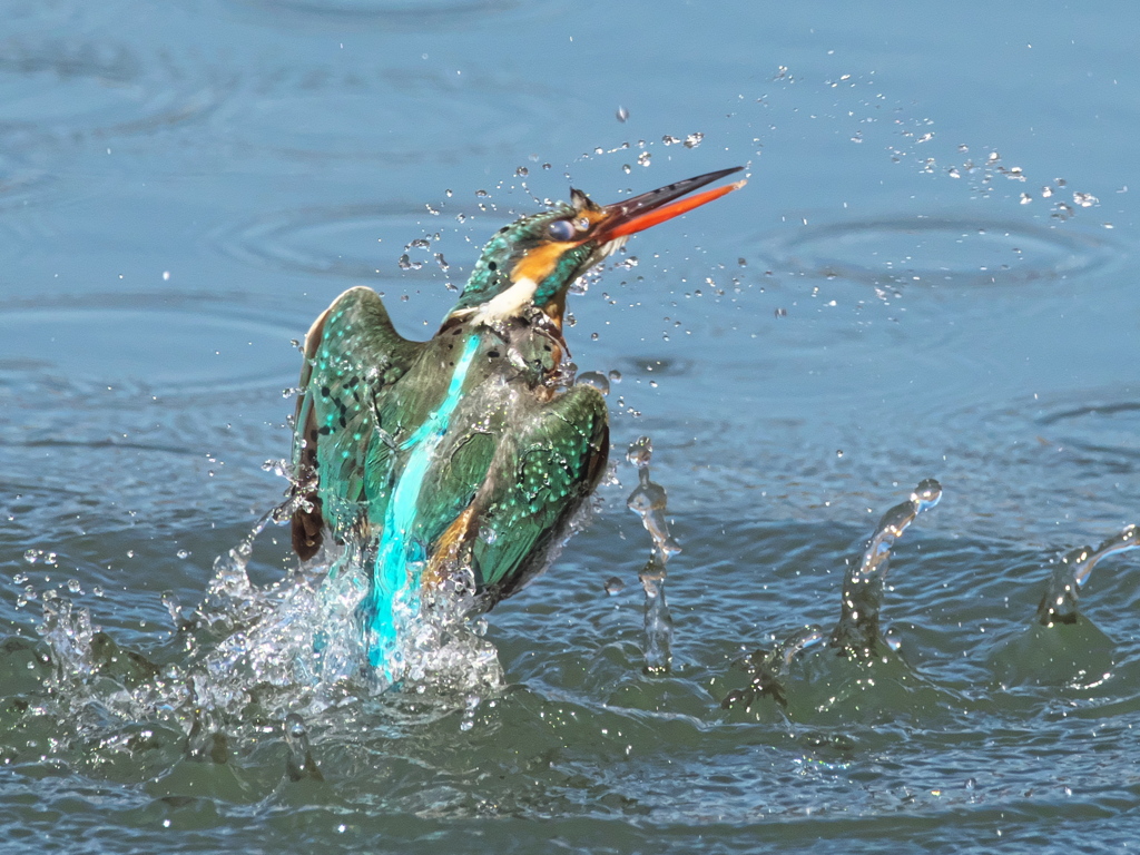 浮上 373-1（嫁候補）