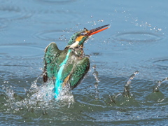 浮上 373-1（嫁候補）