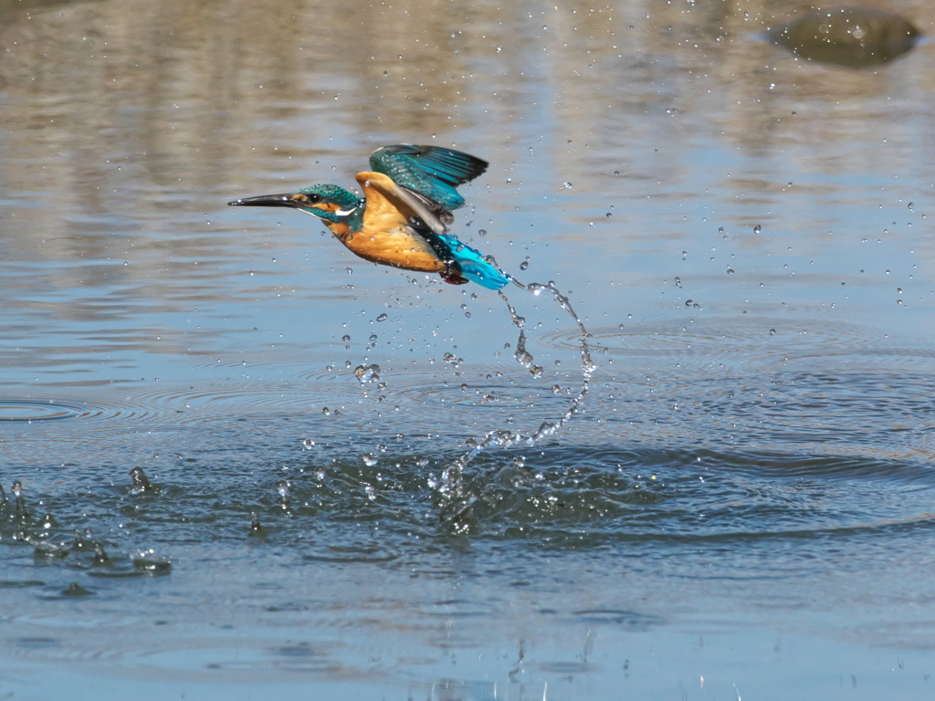 浮上 384-3（父親）