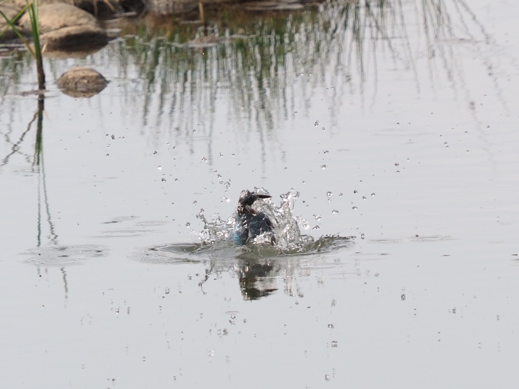 ウォーターカーテンの中 2