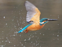 浮上 237-2（父親）