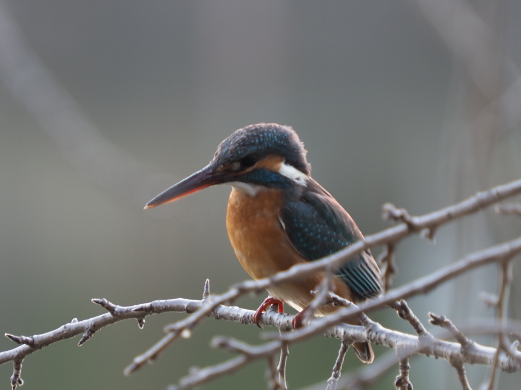 少し暗くなって来た１