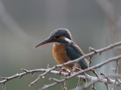 少し暗くなって来た１