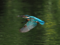 水平飛行 89-1 水平飛行 89-1