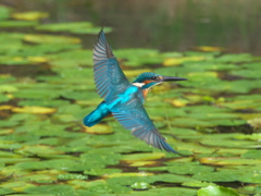 華麗なるターン 4-2（父親）