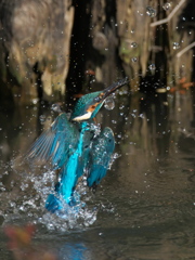 浮上 189-2（父親）