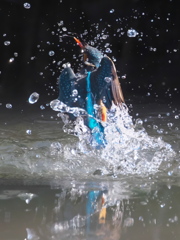 浮上 186（嫁候補）