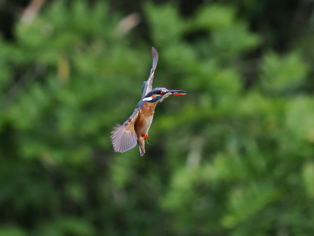 華麗なるターン 19-3