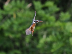 華麗なるターン 19-3