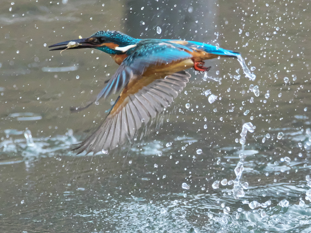 浮上 331（父親）