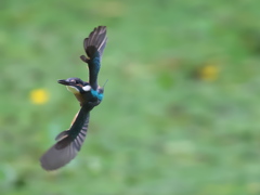 華麗なるターン 20-1