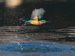 浮上 371-4（父親）