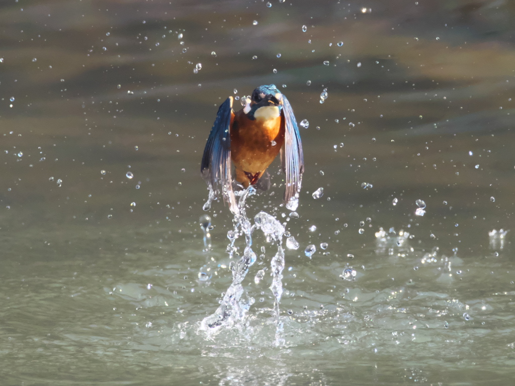浮上 180（父親）