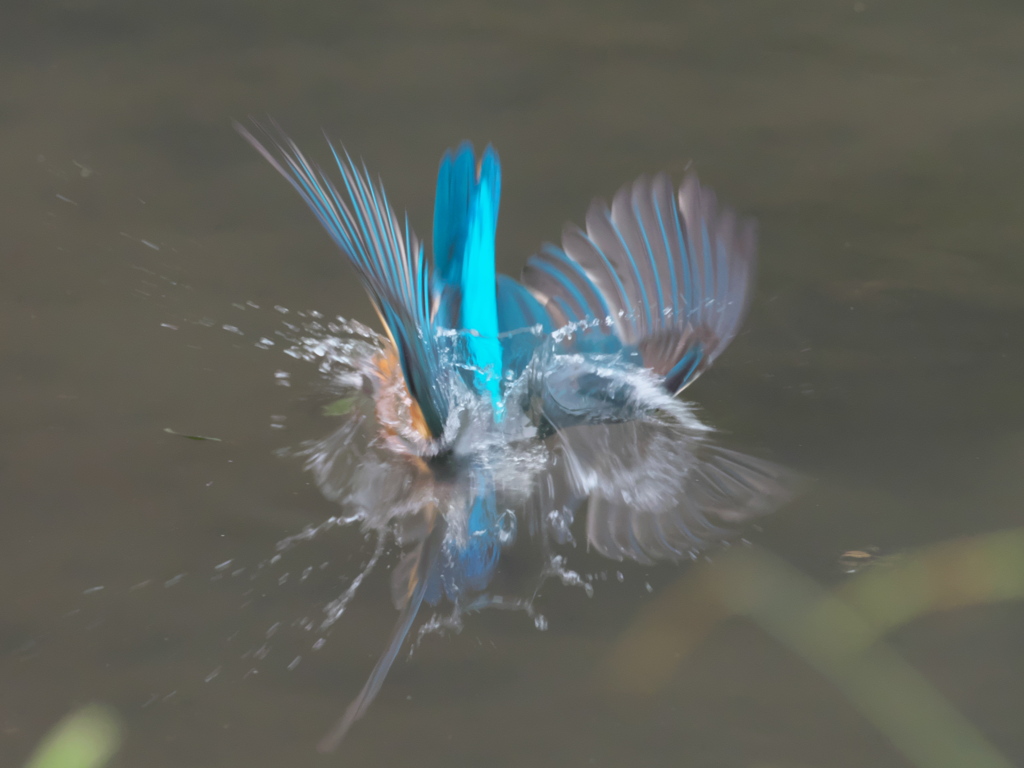 飛び込みシーケンス 19-1（父親）