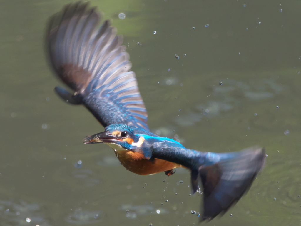 浮上 122-1（父親）