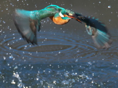 浮上 340-1（嫁候補）