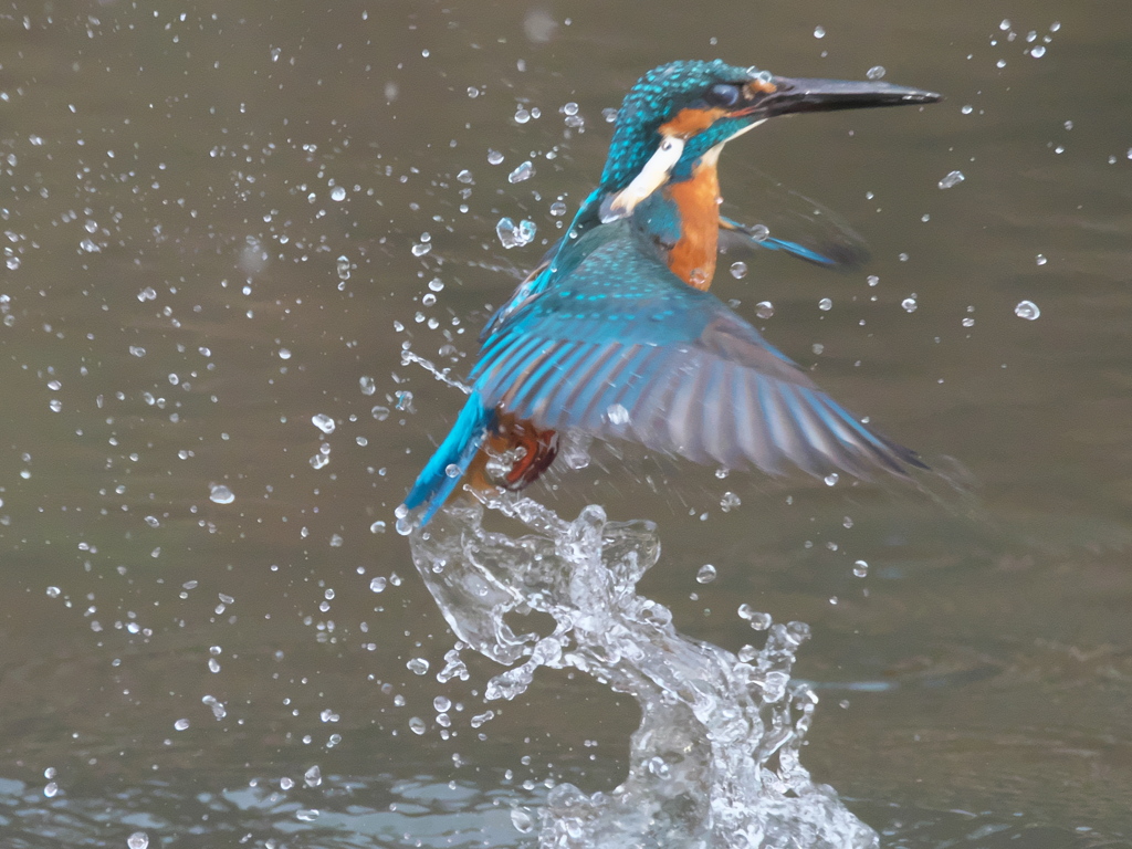 浮上 237-1（父親）